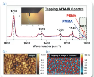 図 5 PMMA PEMA ポリマーブレンド試料の分析例 (a)Tapping AFM IR スペクトル；(b)AFM 表面凹凸 像，AFM 像中の赤・青点は対応する色のスペクトル測 定 位 置 を 表 し て い る ； ( c) 波 数 1,026 cm －1 に お け る Tapping AFM IR 像。