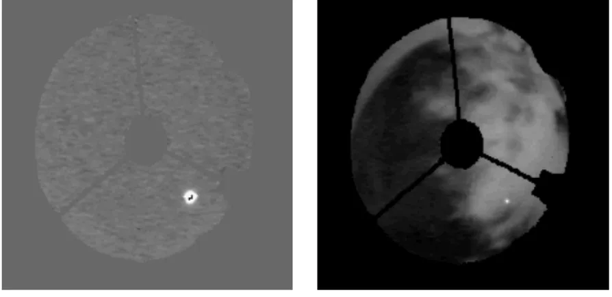 図 5.9: 雲画像の解析結果の例 ( 左 = 快晴、右 = うす曇り ) τ の時間変動の様子を各方向で調べるため、得られた τ マップを天頂と高さ 3 ×方向 4 の計 13 領域 ( 表 5.5 参照 ) に分けてその値を調べた。 13 領域のうち、天頂および NE 低、 NW 低、 SE 低、 SW 低の 4 領域、計 5 領域の変動の様子を図 5.10 に示す。なお領 域のうち、 SW 低領域はチャナントール山を含む方向である。 τ の変動は大きく分けて、一日周期の弱い変動と、ときどき起きる大きな