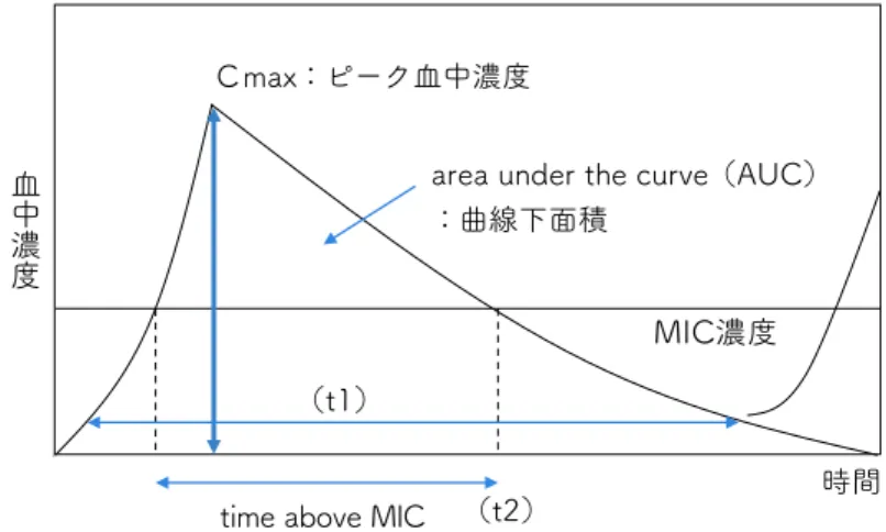 図 4　抗菌薬の薬物動態