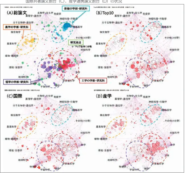 図表 2　31 大学全ての大学内部組織の論文分野マッピング (A) と Top10% 補正論文割合 (B)、