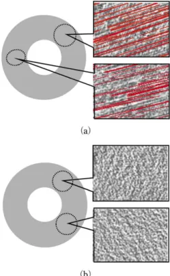 Fig. 15   Result of applying the proposed algorithm to  defect sample A. （ a）Whole surface image, （ b）defect  area （same area of Fig