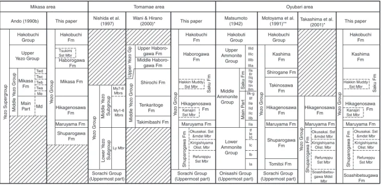 Fig. 3. Comparison of lithostratigraphic subdivisions proposed by several workers in the study areas.