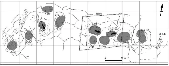 Fig. 8. Plan view sketch of the lower bedding surface of the footprint horizon at locality 2