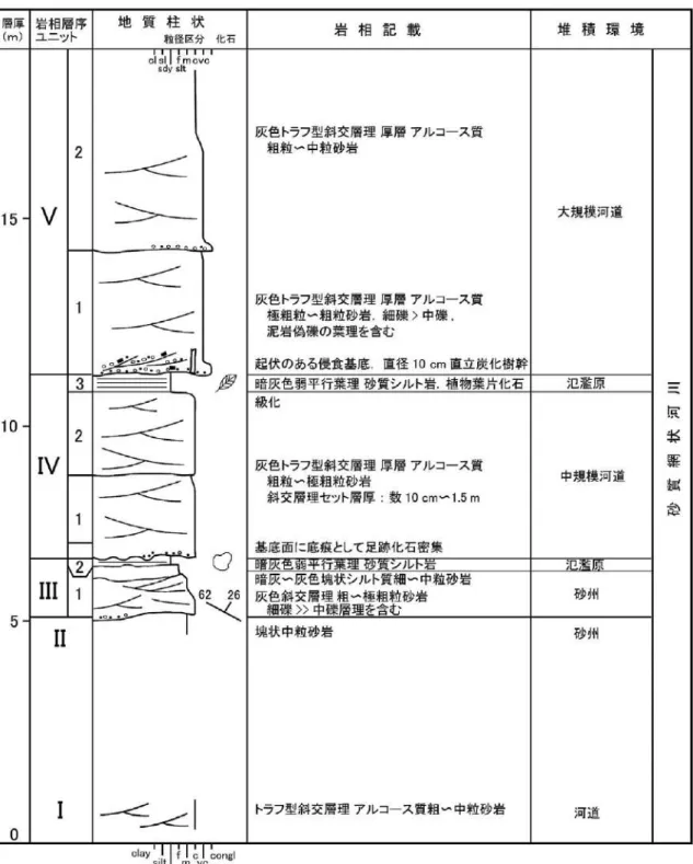 Fig. 4. Geological columnar section of locality 1, left side of the Takikurazawa River