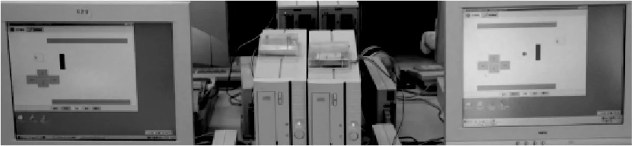 Figure 14.  A ping-pong game (network version) 