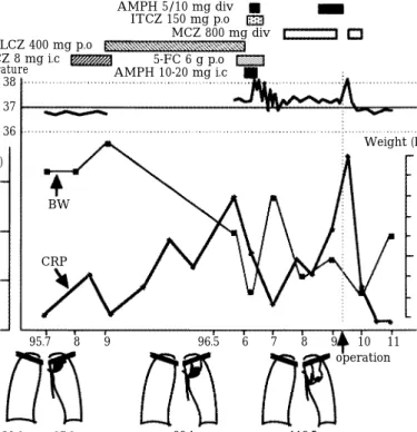 Fig. 4 Clinical course.