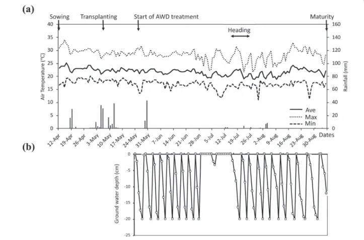 Fig. 2.  Air temperature and rainfall in Mwea, Kenya (a) and ground water levels under alternate wetting and drying (AWD)  field (b) in 2017