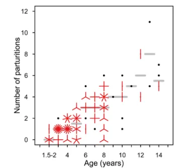 Fig. 2.  The number of parturitions recorded during the life- life-time of each cow. Black dot indicates there was one  cow observed at the coordinate value