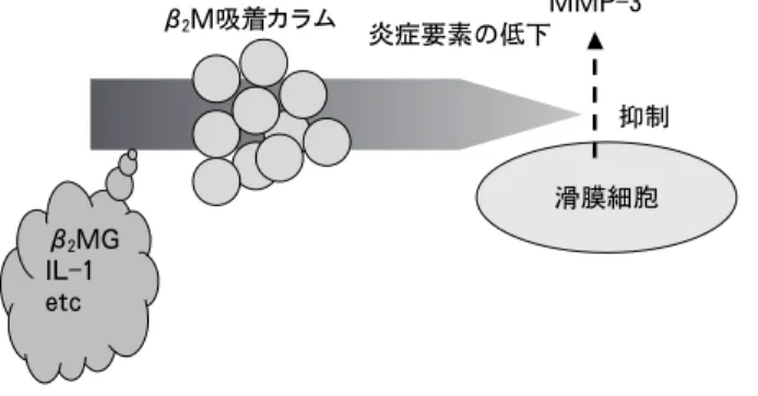 図 6 リクセル併用と血清 MMP-3低下についての関連
