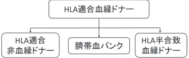 図 1 PTCY-HLA 半 合 致 移 植 の 標 準 的 プ ロ ト コ ー ル （JSCT-Haplo 試験より） A．JSCT-14，16，17-RIC 試 験 で の 移 植 プ ロ ト コ ー ル （15-70 歳以下） B．JSCT-14，16，17-MAC 試験での BU-based レジメン を用いた移植プロトコール（15-60 歳以下） C．JSCT-14，16，17-MAC 試 験 で の TBI-based レ ジ メ ンを用いた移植プロトコール（15-55 歳以下）day -66-
