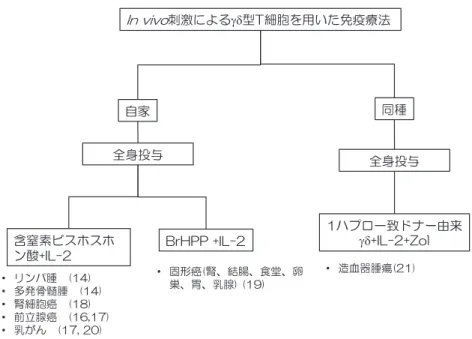 図 3 in vivo 刺激による γδ 型 T 細胞を用いた免疫療法の分類 in vivo で γδ 型 T 細胞を活性化させる目的で含窒素ビスホスホン酸あるいはリン酸抗 原を直接投与し，活性化を維持目的で IL-2 を併用投与する． 図 4 体外で培養した γδ 型 T 細胞を用いた養子免疫療法の分類 γδ 型 T 細胞を刺激する目的でリン酸抗原あるいは含窒素ビスホスホン酸が用いられる．増殖因子 として IL-2 を添加し，培養する．投与方法は経静脈的に全身投与，あるいはカテーテルから局所 投与される．