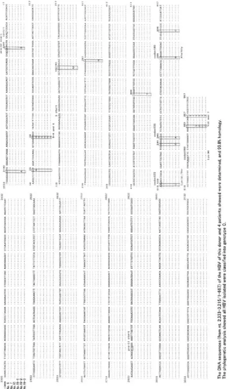 Fig. 1 Sequence analysis of the early part of the P region, which includes the preS and S regions（nt2, 333-3, 215/1-667）