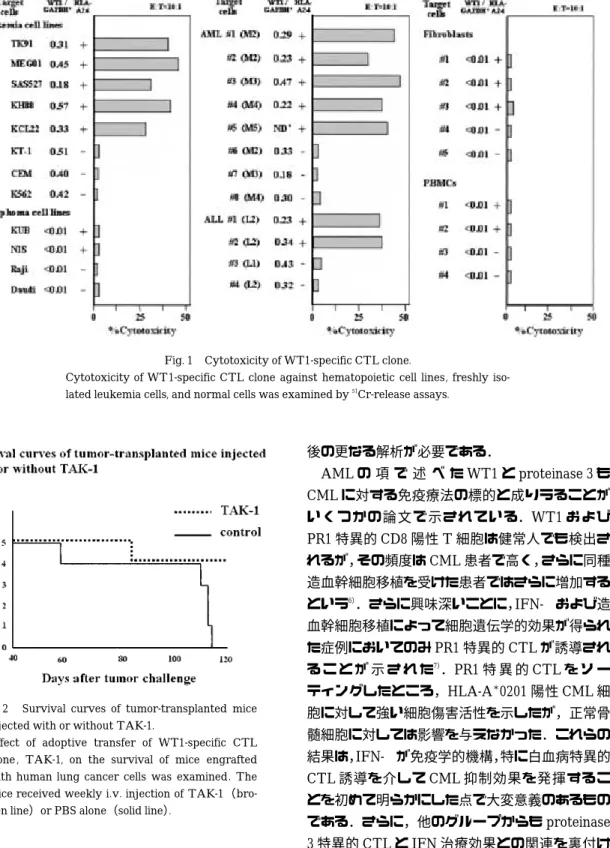 Fig. 1 Cytotoxicity of WT1-specific CTL clone.