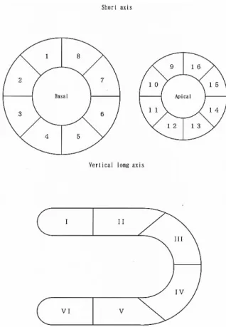 Fig.  2    Time table.