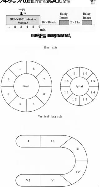Fig.  1   Study protocol.