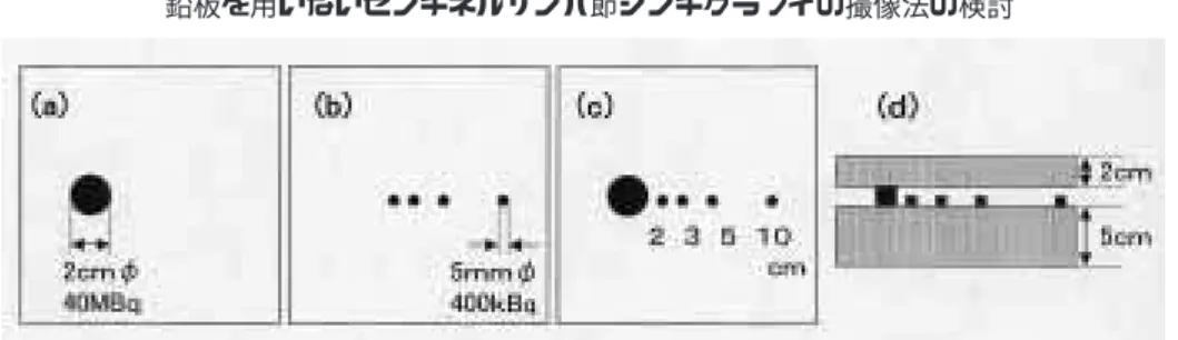 Fig.  2 Schema of the phantom used in this study. (a) Noise phantom. (b) Signal phantom