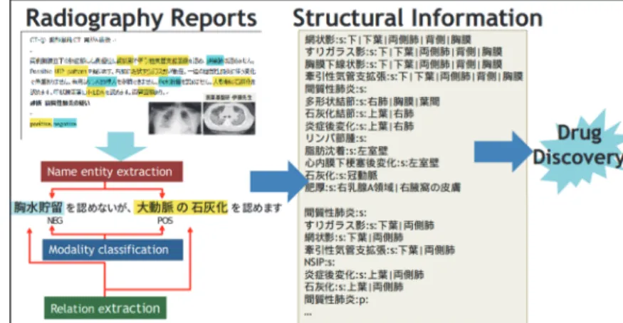 Figure 1. An Example of Re-structured Radiography Report.