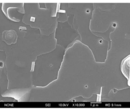 図 1 PbBi1212 薄膜の X 線回折図形 図 2  PbBi1212 薄膜の表面 SEM  写真