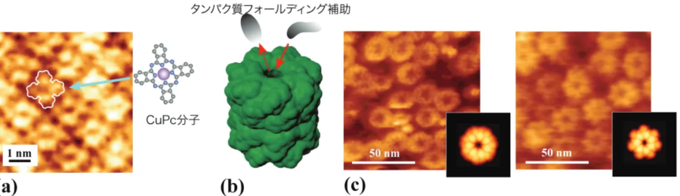 図 4 有機光電子デバイス統合システムの一例 . （左図）日中に個々の画素に付属の太陽電池により充電され る様子、 （右図）夜間、日中に充電された電力により画素が駆動され、ディスプレイとして機能する様子を示す．