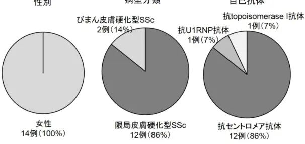 図 2 CLI14 例の病変分布