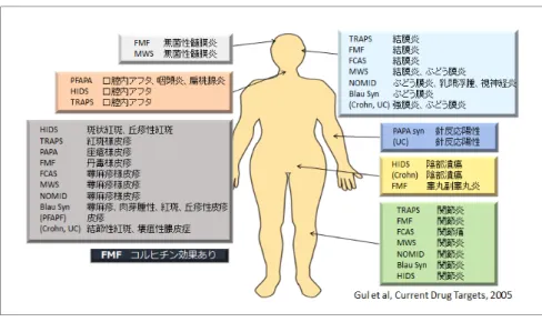 図 3    自己炎症疾患とベーチェット病 