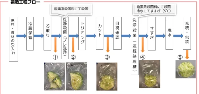 図 6.  カットキャベツの製造工程フロー概要 
