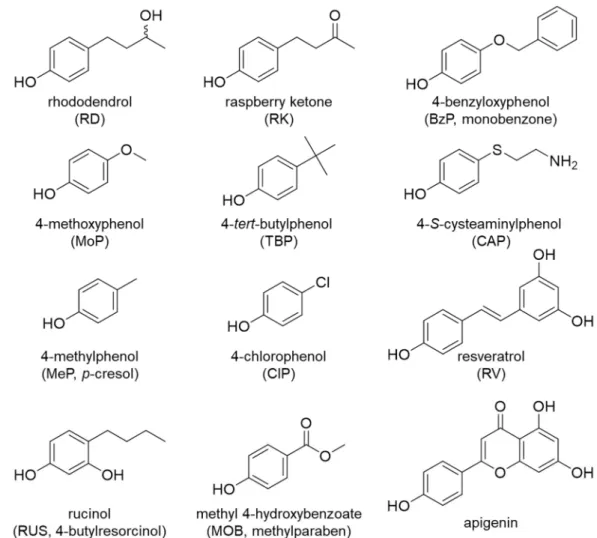 Fig. 1. Structures of 4-substituted phenols. 
