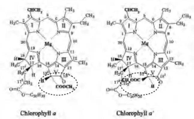 図 8   Structures of chlorophyll a and its epimer, chlorophyll a’