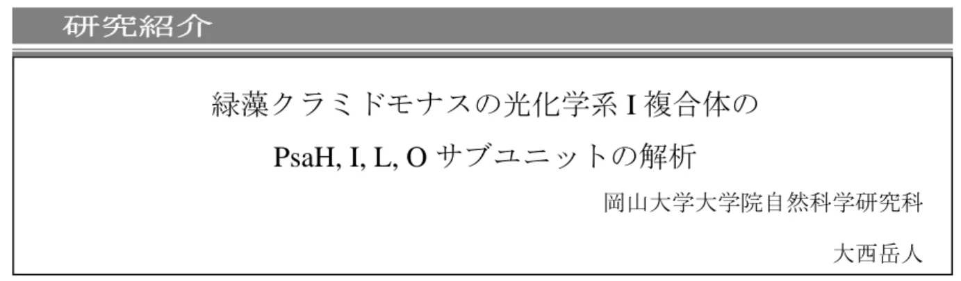 図 1  エンドウ（Pisum sativum）の PSI の結晶構造 2)