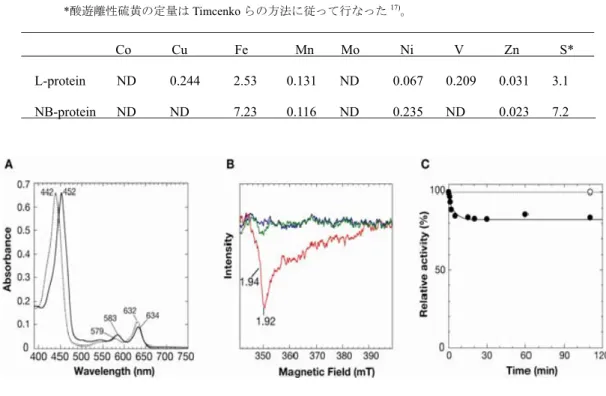 図 5  (A) NB-蛋白質(実線)と遊離の Pchlide(点線)の吸収スペクトル。(B) NB-蛋白質の EPR スペクトル。グラ フ中の数値は g 値を表す。ジチオナイト存在下(青)と L-蛋白質、Mg、ATP 添加後(赤)および L-蛋白質の み(緑)のスペクトル。(C) NB-蛋白質の酸素感受性の検討（黒丸） 。白い丸は対照実験として空気に曝して いない NB-蛋白質の活性を測定した。 表 1  L-蛋白質、NB-蛋白質の金属および硫黄の定量。数値は各蛋白質（L-蛋白質は(BchL)  2 -二