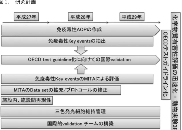 図 1.  研究計画 