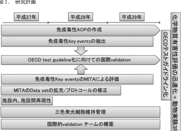 図 1.  研究計画 