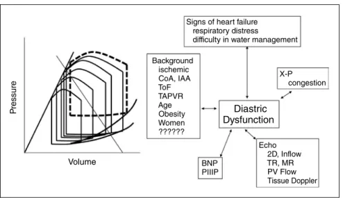 Fig. 12  The schema of ventricular-ventricular interaction