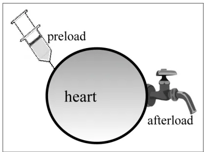 Fig. 1   The schema of  “Rubber Ball”,  as a model of heart and its loading
