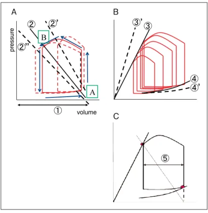 Fig. 2   Pressure-Volume relationship