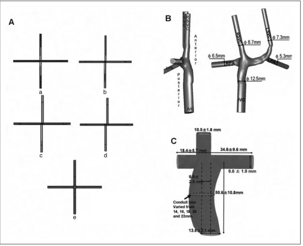 Fig. 5A is reprinted from Med Eng Phys, Vol. 27, DeGroff C, et al: Computational simulations of the total cavo-pulmonary connection: 