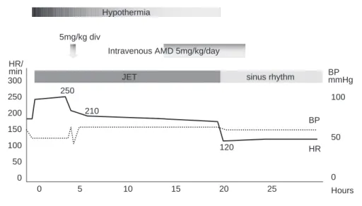 Fig. 3  Clinical course of case 3 (JET. MA. DORV).