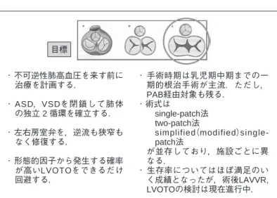 図 6  c-AVSDに対する二心室根治手術  single-patch法 共通前尖と共通後尖に切開を加え，