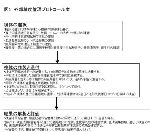 図 1  外部精度管理プロトコール案 