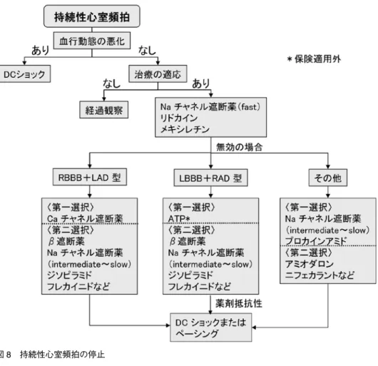 図 9 持続性心室頻拍の予防