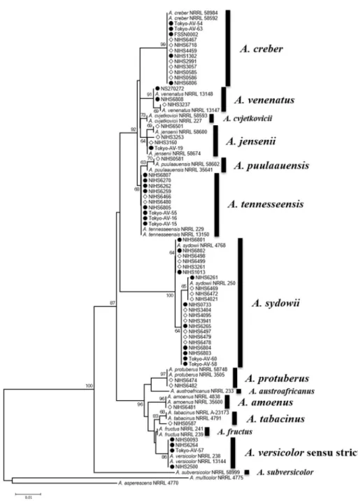 図 1. β-tubulin 遺伝子部分配列による系統樹