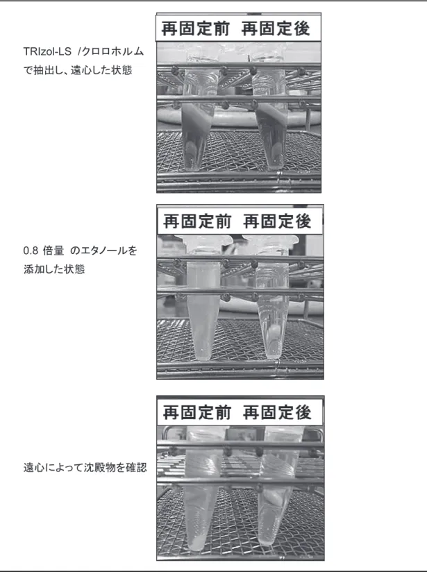 図 7 パンソルビン再固定の効果（抽出操作時の観察）TRIzol-LS  /クロロホルムで抽出し、遠心した状態0.8倍量のエタノールを添加した状態遠心によって沈殿物を確認