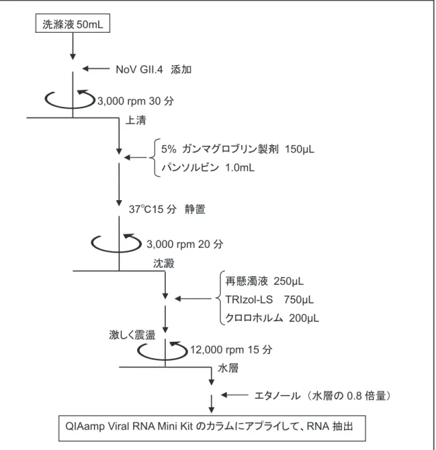 図 1  パンソルビン・トラップ法の操作手順 洗滌液50mL NoV GII.4  添加3,000 rpm 30分上清 5% ガンマグロブリン製剤   150μL パンソルビン  1.0mL 37℃15分  静置3,000 rpm 20分沈澱 再懸濁液  250μL TRIzol-LS    750μL クロロホルム   200μL 12,000 rpm 15分激しく震盪 水層 エタノール （水層の 0.8 倍量）
