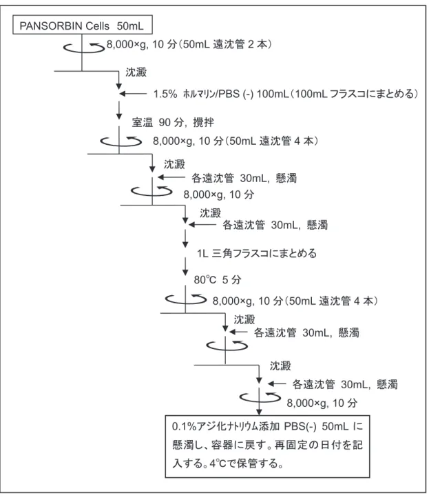 図 6  パンソルビン再固定の手順PANSORBIN Cells50mL80℃  5分8,000×g, 10分（50mL遠沈管2本）沈澱 1.5% ﾎﾙﾏﾘﾝ/PBS (-) 100mL（ 100mL フラスコにまとめる）室温  90分, 攪拌 8,000×g, 10分（50mL遠沈管4本）沈澱 各遠沈管  30mL, 懸濁8,000×g, 10分沈澱 8,000×g, 10分（50mL遠沈管4本）沈澱 8,000×g, 10分0.1%アジ化ﾅﾄﾘｳﾑ添加PBS(-)  50mLに懸濁し、容器に戻す。再固定