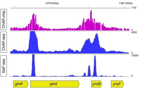 Fig.  1  shows improvement  in the  resolution of  AbrB binding  sites within  a  B. 