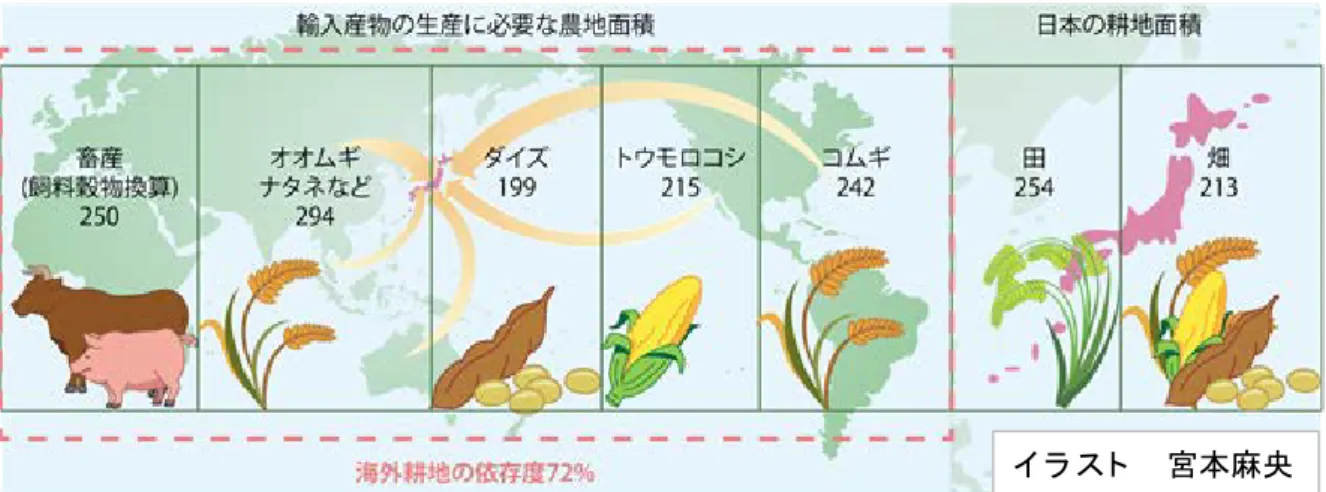 図   15 穀物生産に関する情報提供 図  16  IP ハンドリングに関する情報提供  （出所）遺伝子組換え食品の安全性について p.15 より（厚生労働省医薬食品局食品安全部） 表  2  GM 食品の規制に関する情報提供  ・遺伝子組換え作物は食品として安全性が審査され、承認されたもののみが流通を許可され ています。 ・現在の表示制度では、ＩＰハンドリングされた上で、輸入が承認されている遺伝子組換え 作物の意図しない混入率が 5 ％未満であれば「遺伝子組換えでない」と表示して良いこと になっています