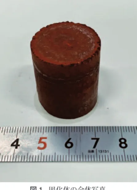 図 1   固化体の全体写真 Fig.1  Appearance of solidified body
