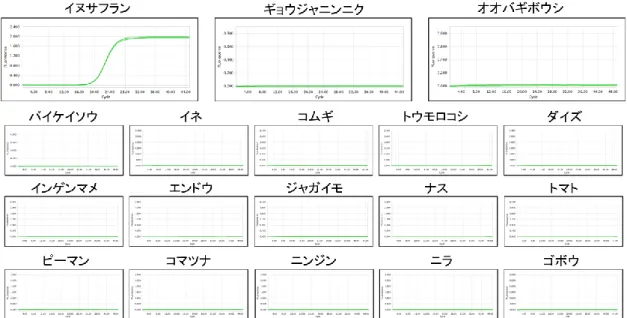 図 4  イヌサフラン matK 反応系の反応特異性 