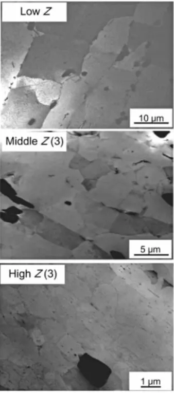 Fig. 9  TEM micrographs of three specimens after forging at t/2