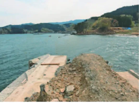 Fig. 4  Collapsed sea embankment of shore of Arahama area, Watari- Watari-cho